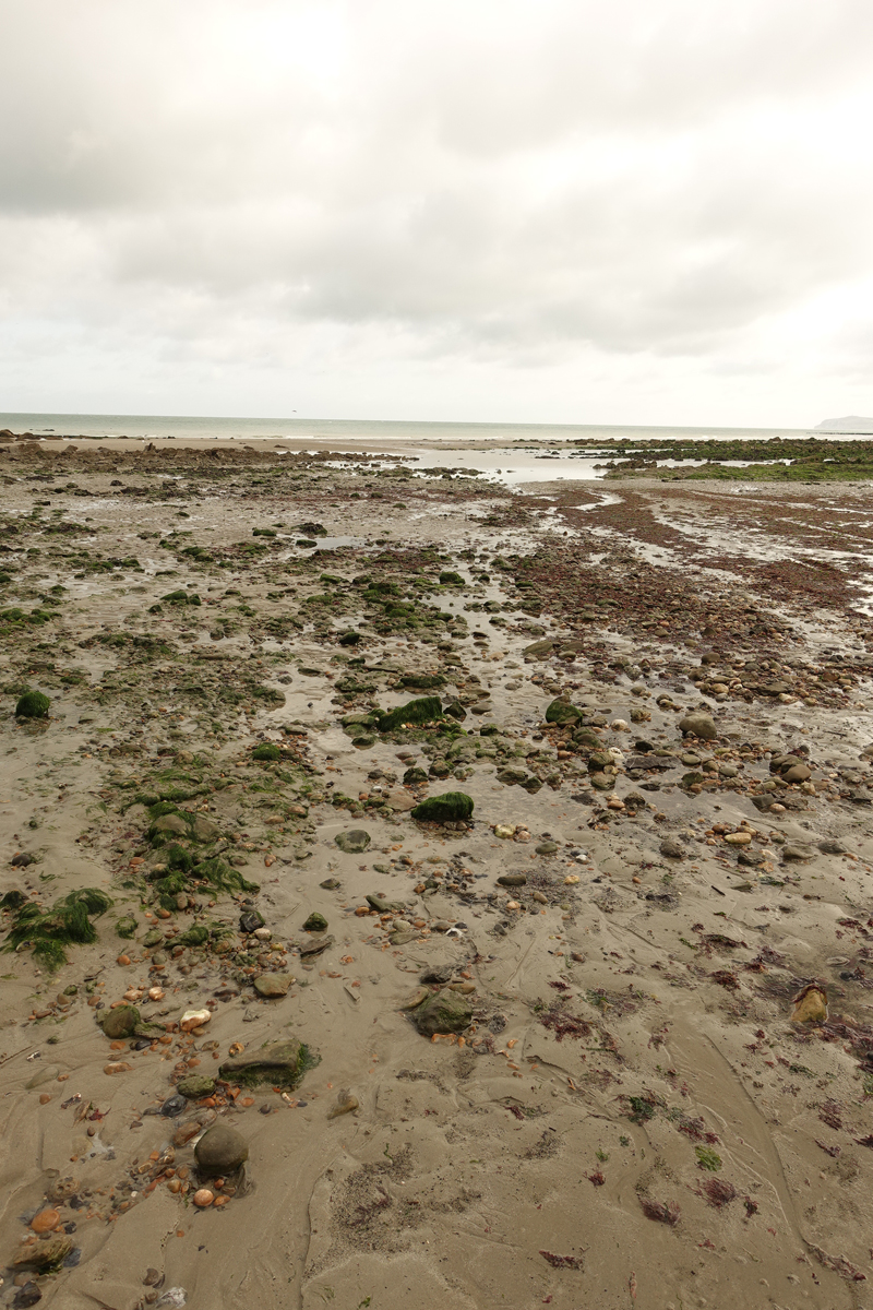 Mon voyage à Calais au Cap Gris Nez