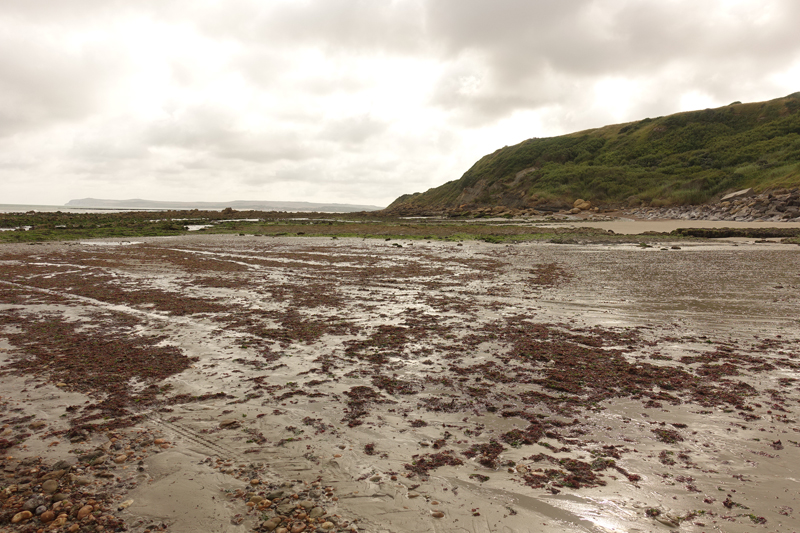 Mon voyage à Calais au Cap Gris Nez