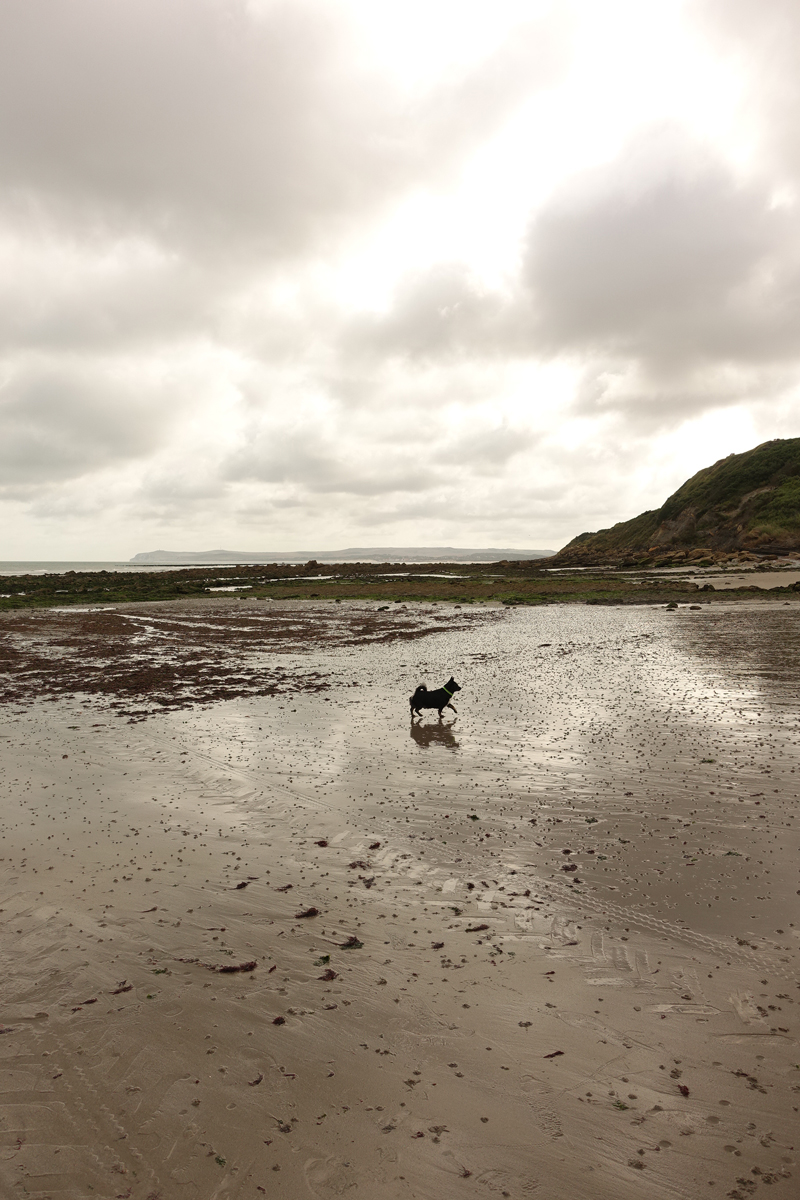 Mon voyage à Calais au Cap Gris Nez