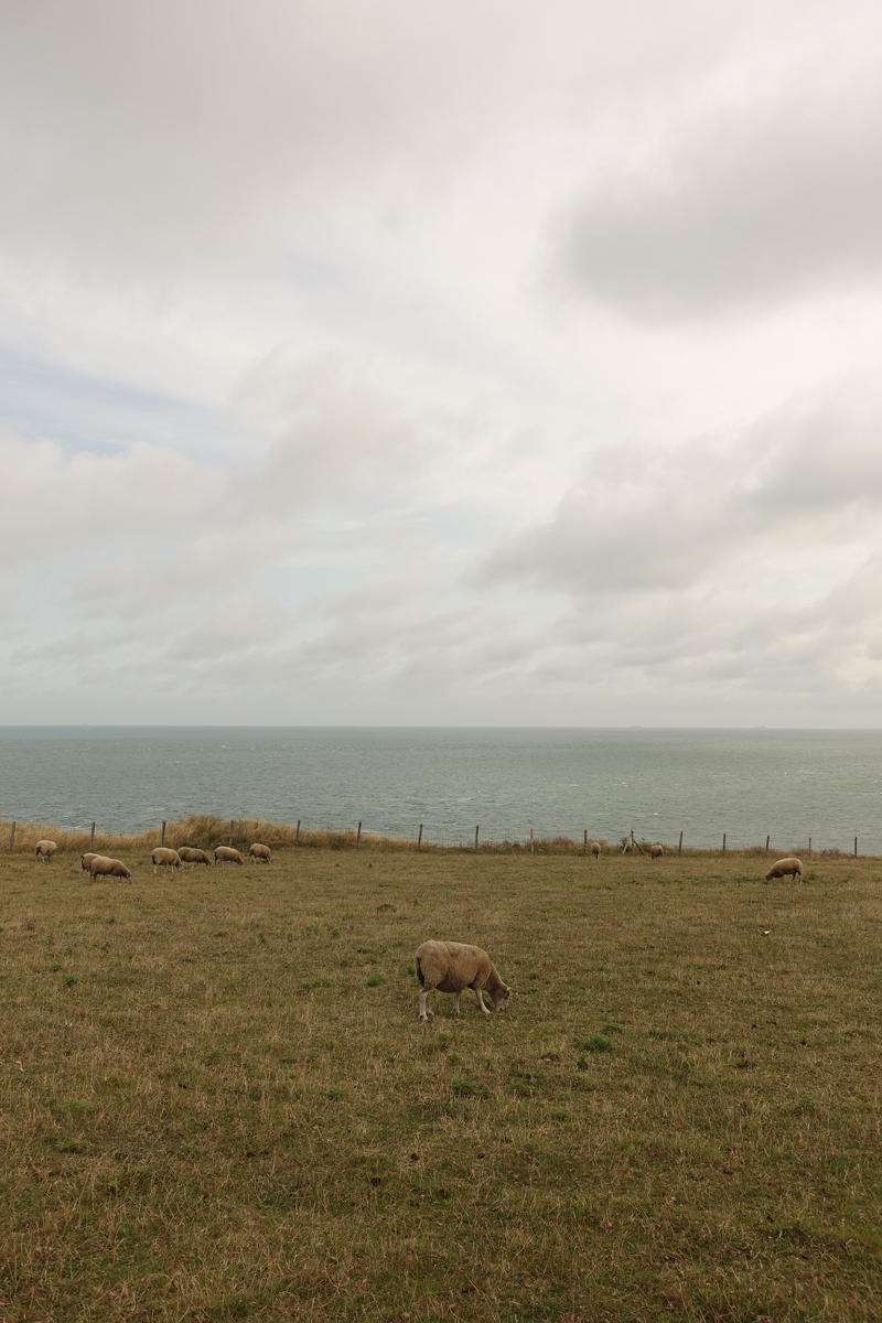 Mon voyage à Calais au Cap Gris Nez