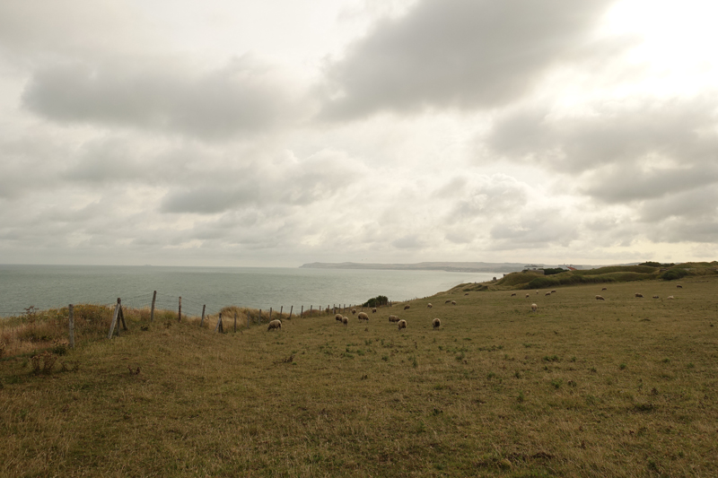 Mon voyage à Calais au Cap Gris Nez