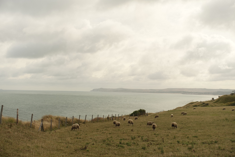 Mon voyage à Calais au Cap Gris Nez