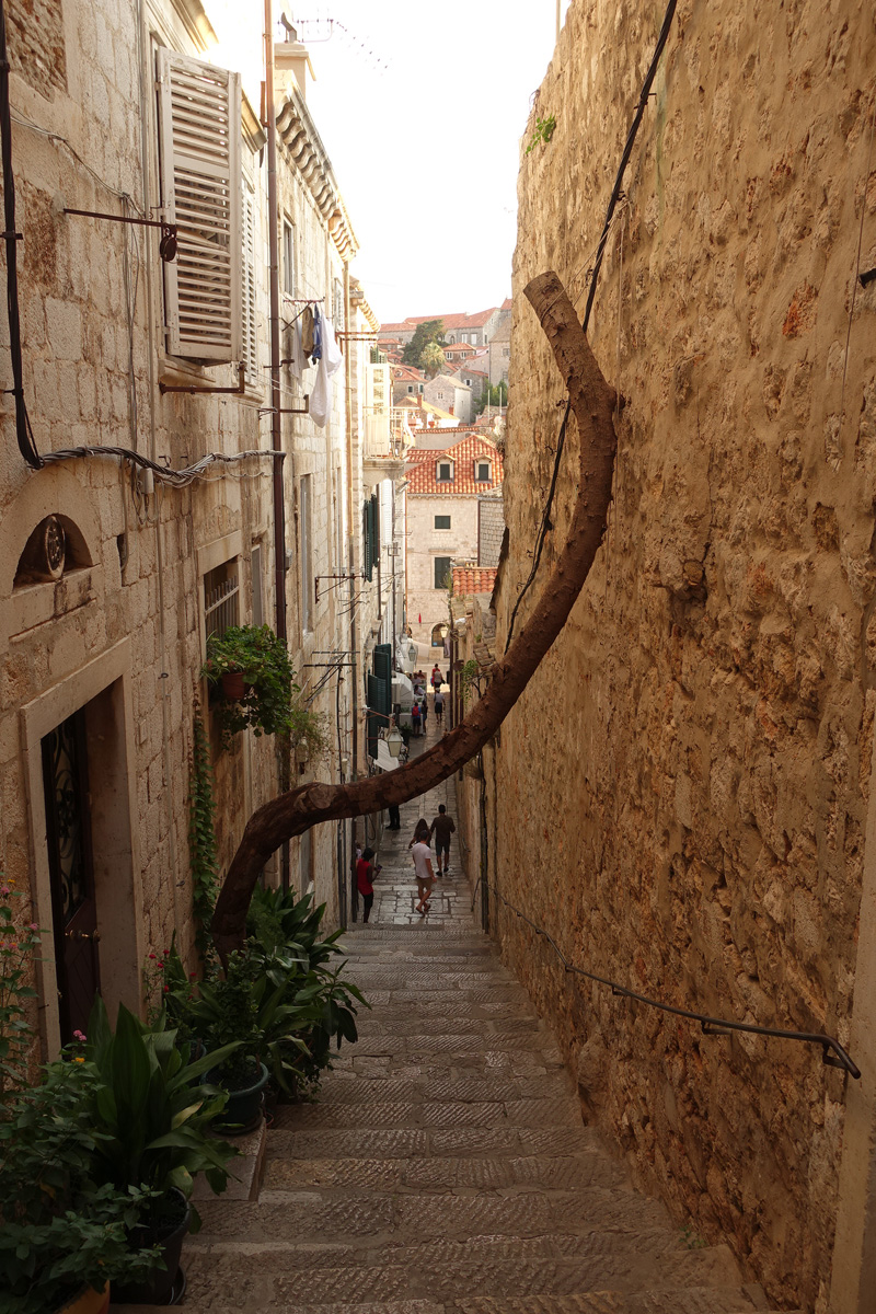 Mon voyage dans le quartier historique de Dubrovnik en Croatie