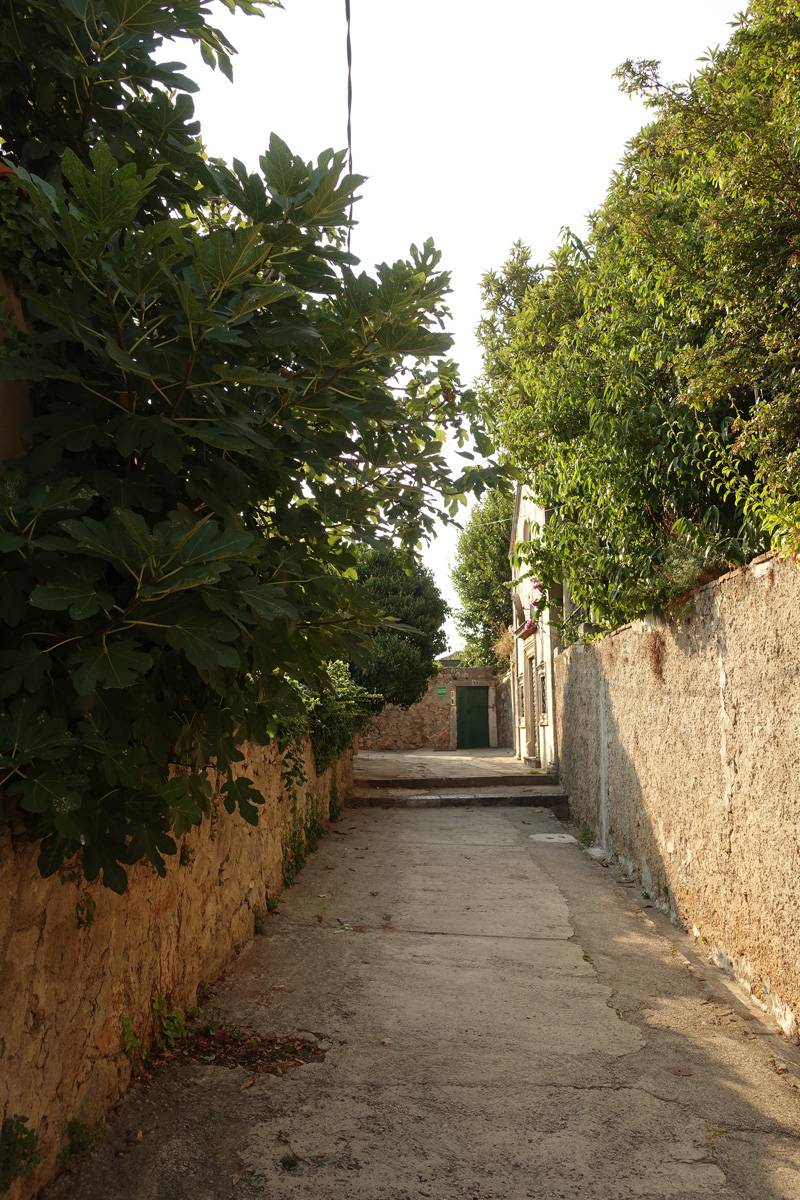 Mon voyage dans le quartier historique de Dubrovnik en Croatie