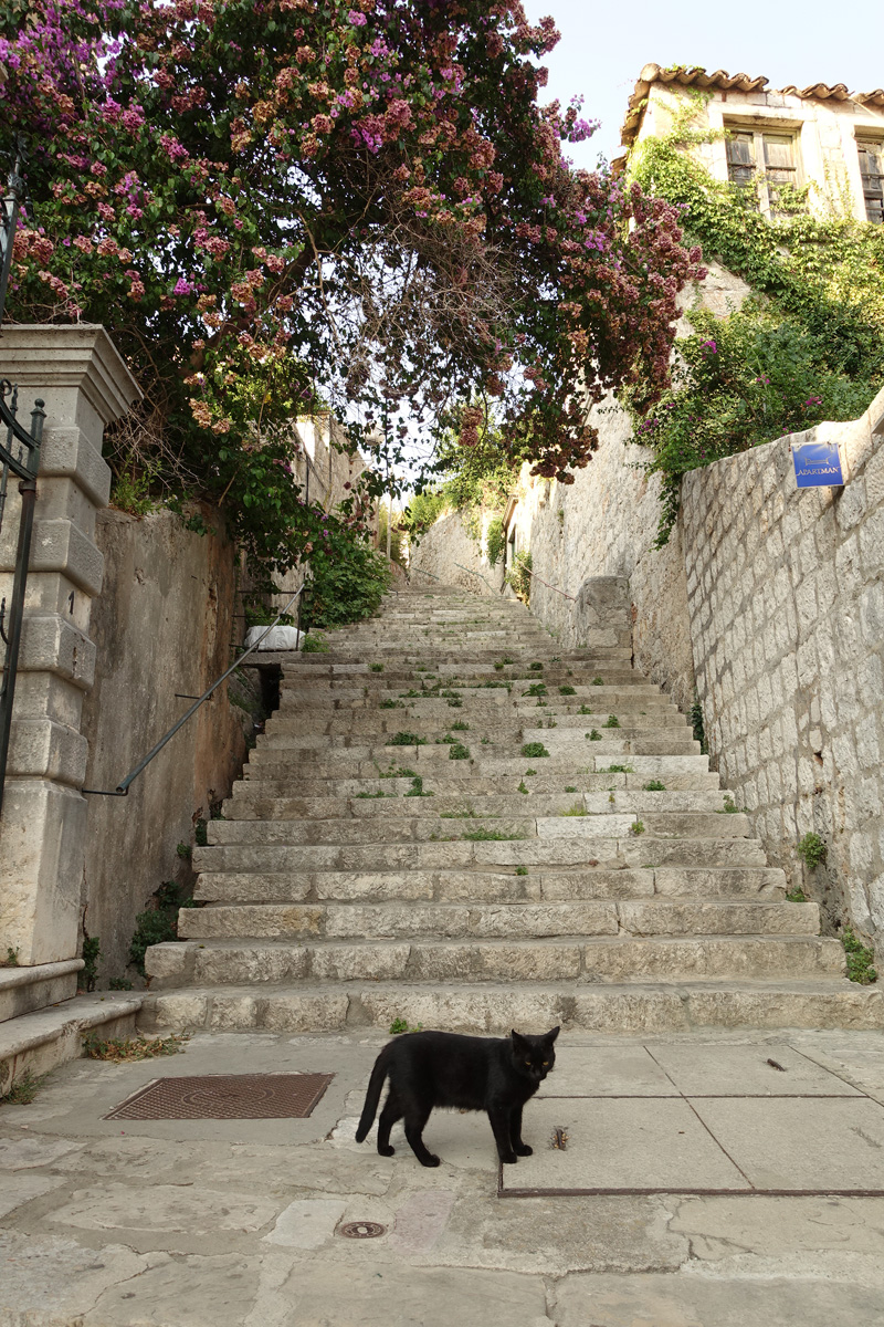 Mon voyage dans le quartier historique de Dubrovnik en Croatie