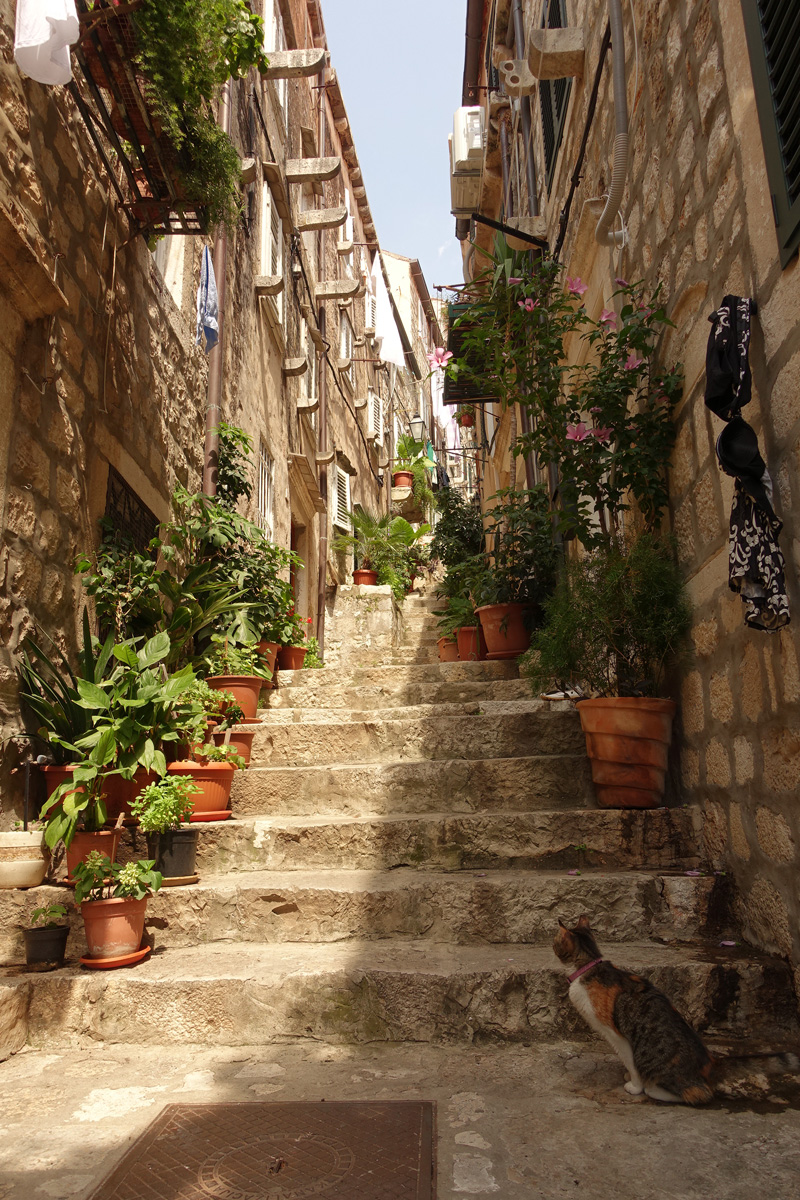 Mon voyage dans le quartier historique de Dubrovnik en Croatie