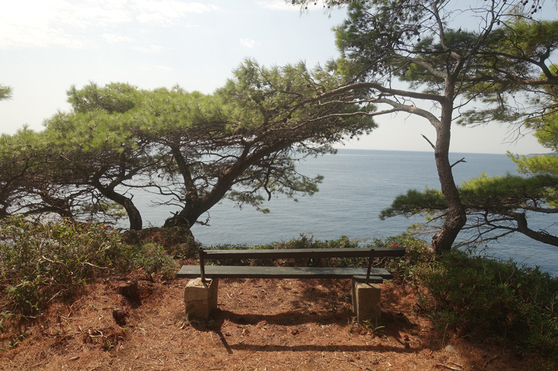 Mon voyage à l'’île de Kolocep en Croatie