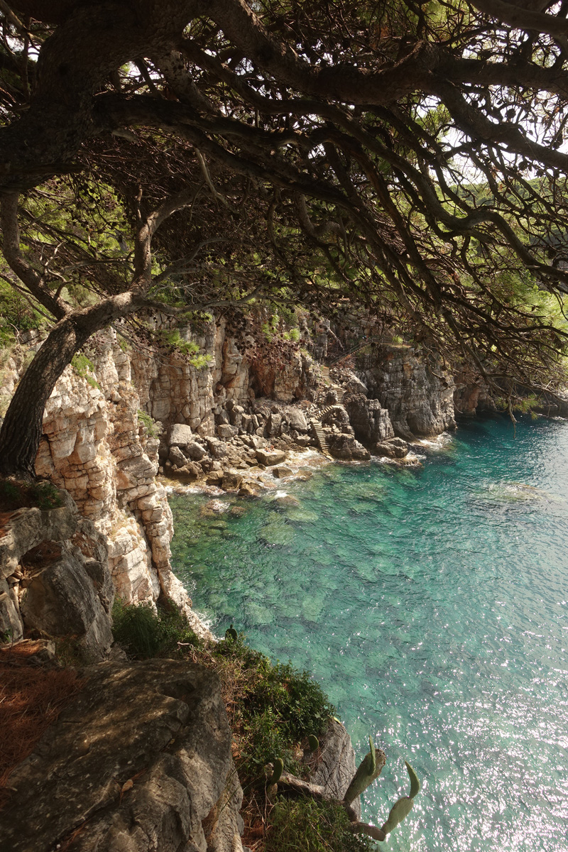 Mon voyage à l'’île de Kolocep en Croatie