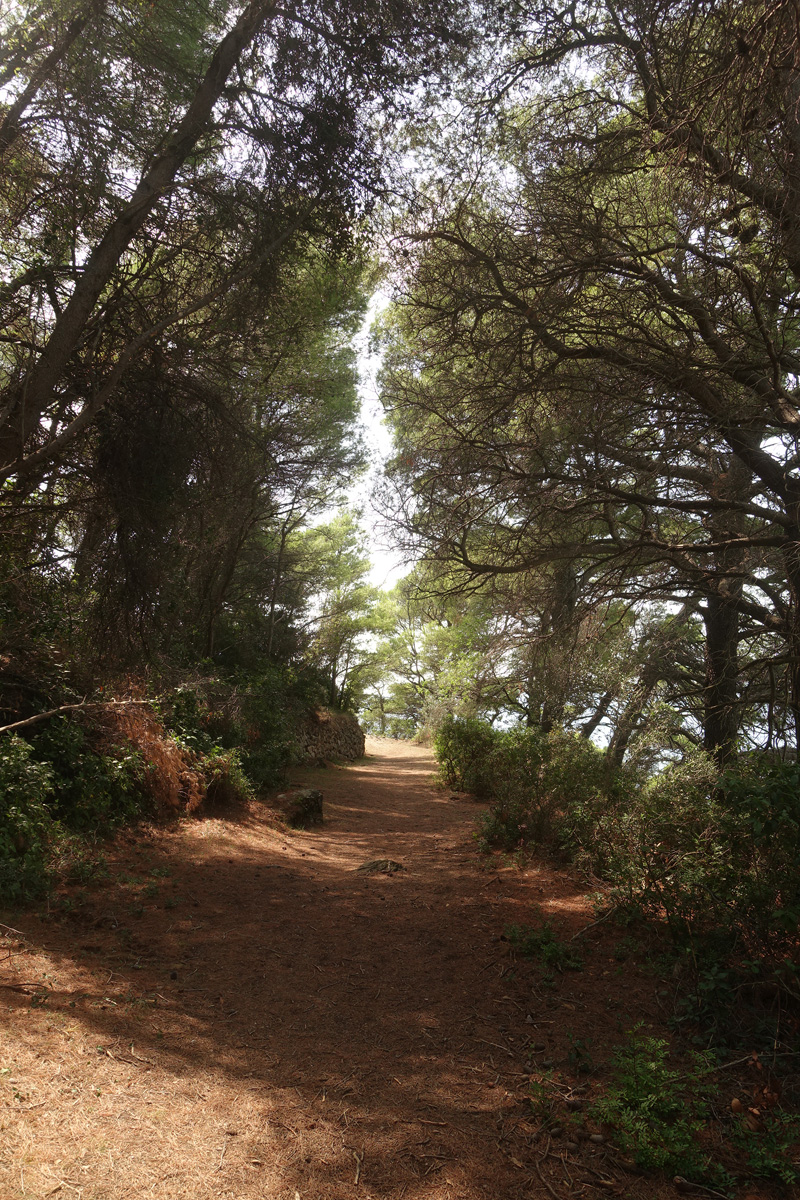 Mon voyage à l'’île de Kolocep en Croatie