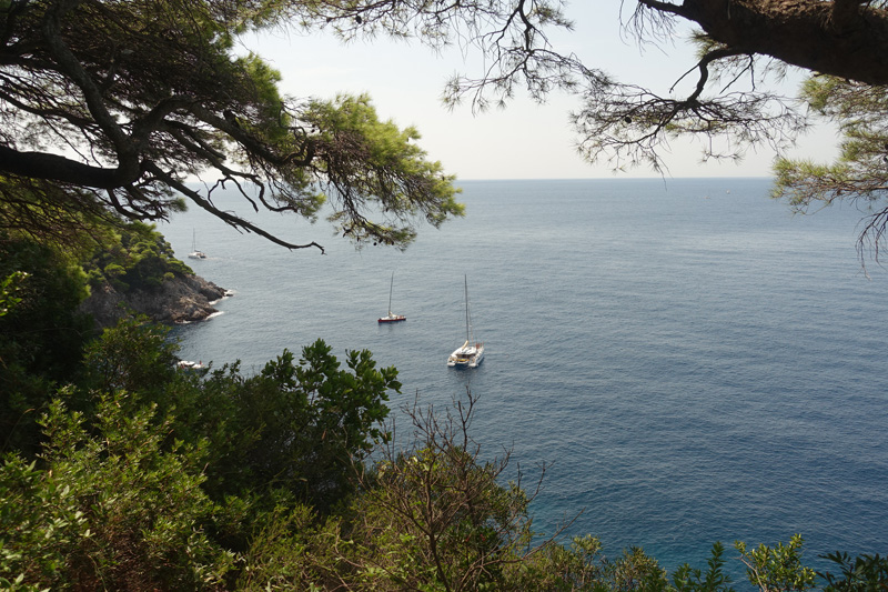 Mon voyage à l'’île de Kolocep en Croatie