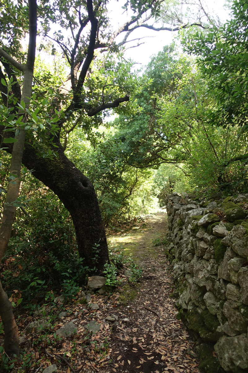 Mon voyage à l'’île de Kolocep en Croatie