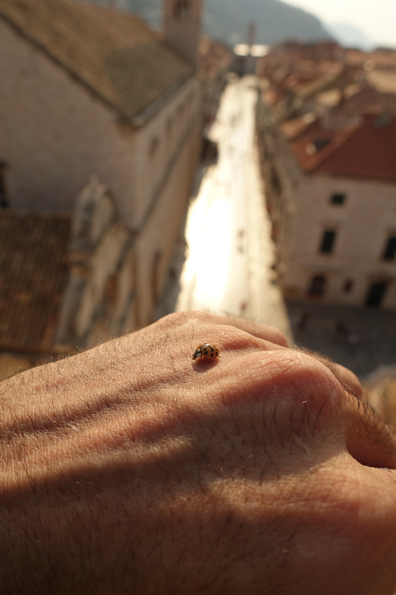 Mon voyage sur les remparts de Dubrovnik en Croatie