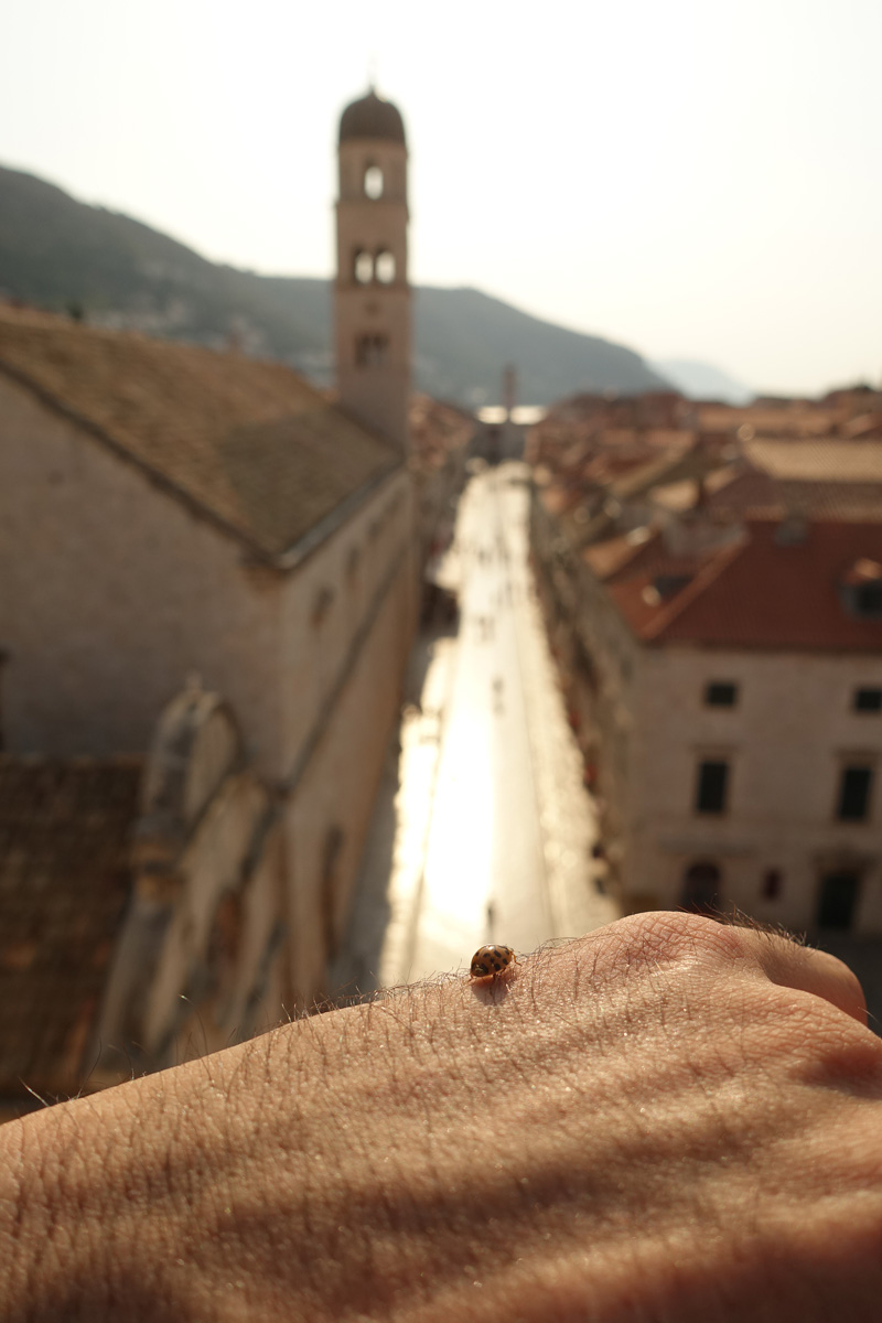 Mon voyage sur les remparts de Dubrovnik en Croatie