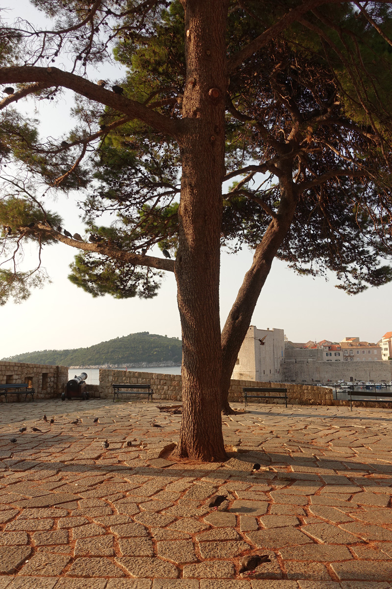 Mon voyage sur les remparts de Dubrovnik en Croatie