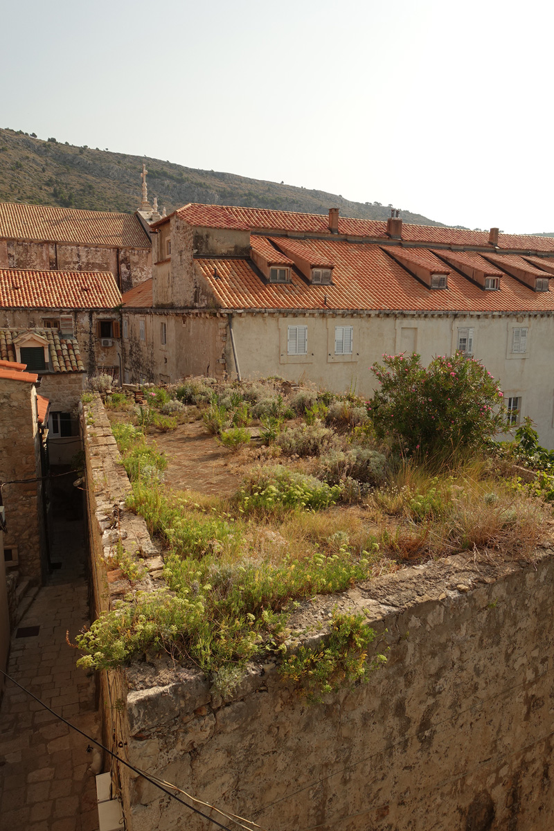 Mon voyage sur les remparts de Dubrovnik en Croatie