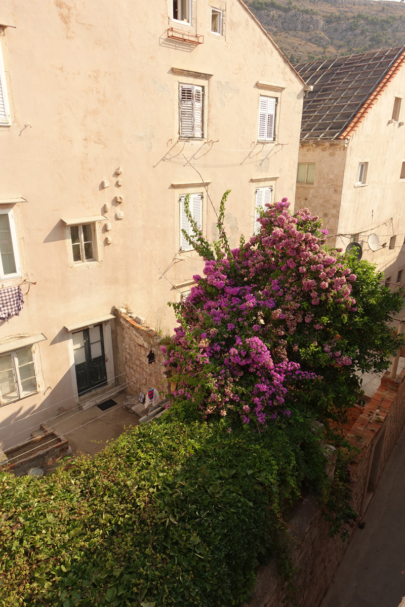 Mon voyage sur les remparts de Dubrovnik en Croatie