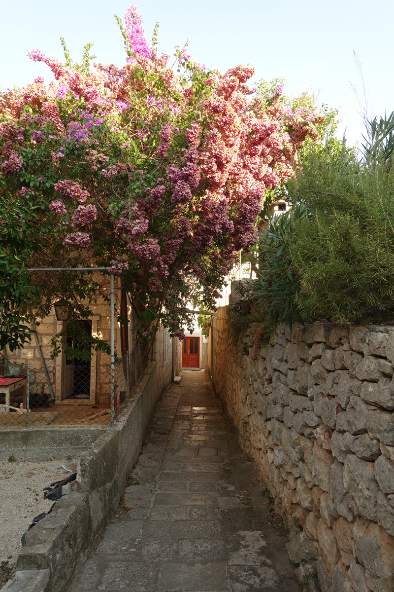 Mon voyage à Korcula sur l'île de Korcula en Croatie