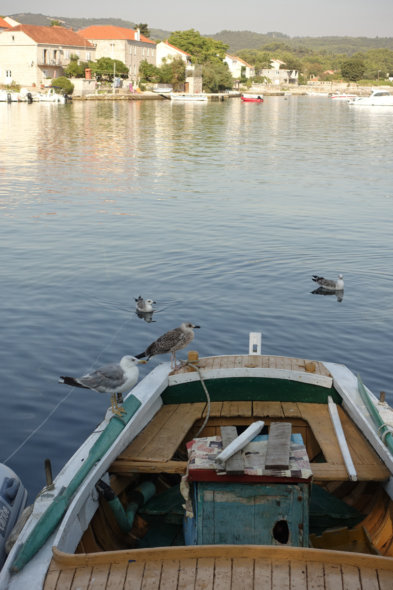 Mon voyage à Lumbarda sur l'île de Korcula en Croatie