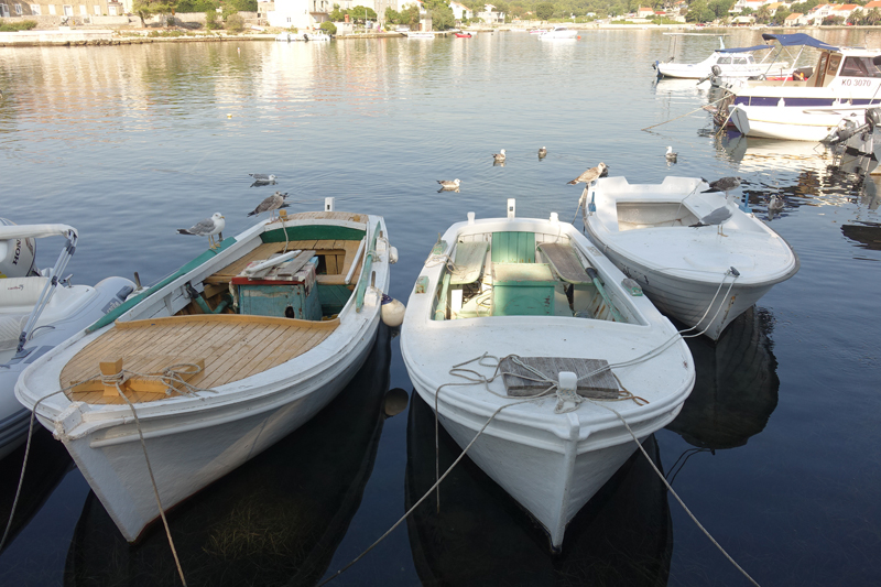 Mon voyage à Lumbarda sur l'île de Korcula en Croatie