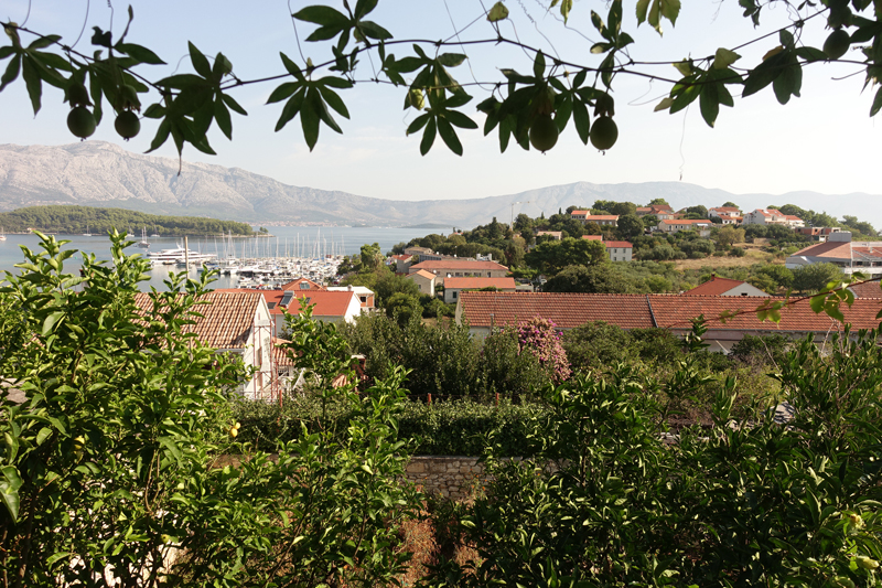 Mon voyage à Lumbarda sur l'île de Korcula en Croatie