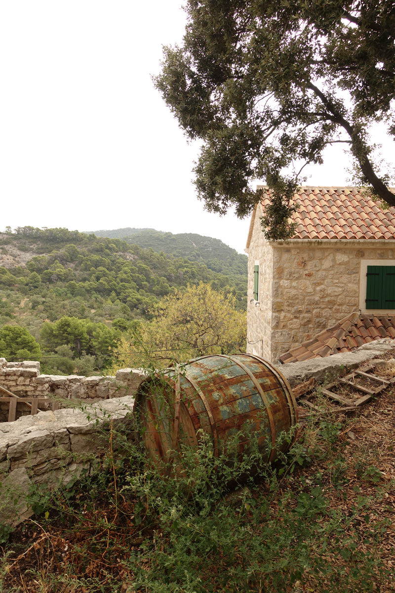 Mon voyage à Govedari sur l’île de Mljet en Croatie