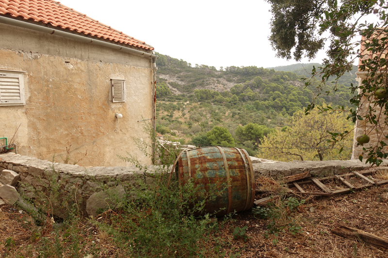 Mon voyage à Govedari sur l’île de Mljet en Croatie