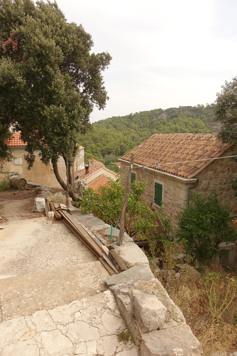 Mon voyage à Govedari sur l’île de Mljet en Croatie