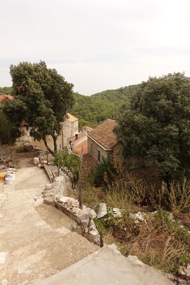 Mon voyage à Govedari sur l’île de Mljet en Croatie