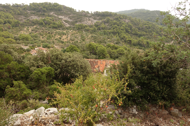 Mon voyage à Govedari sur l’île de Mljet en Croatie