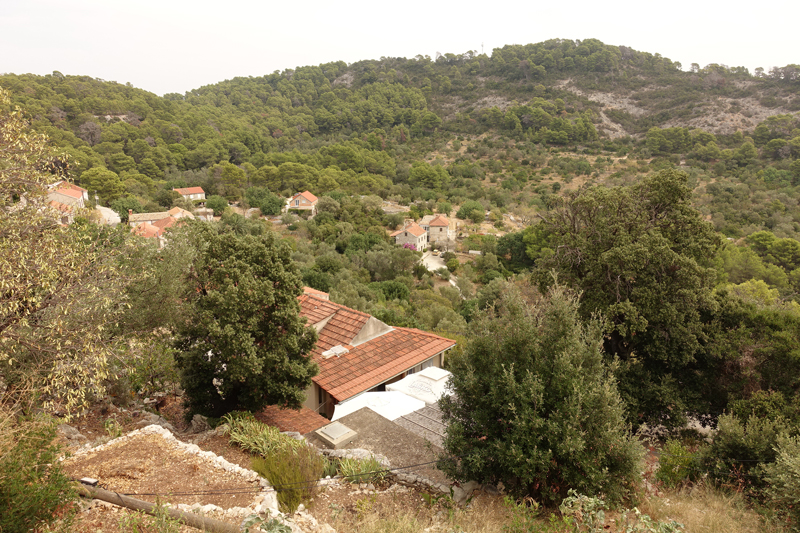 Mon voyage à Govedari sur l’île de Mljet en Croatie