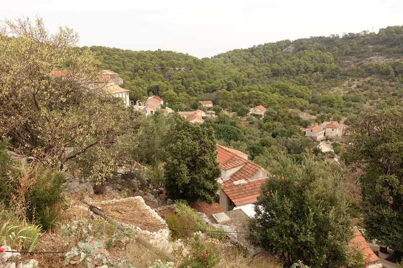 Mon voyage à Govedari sur l’île de Mljet en Croatie