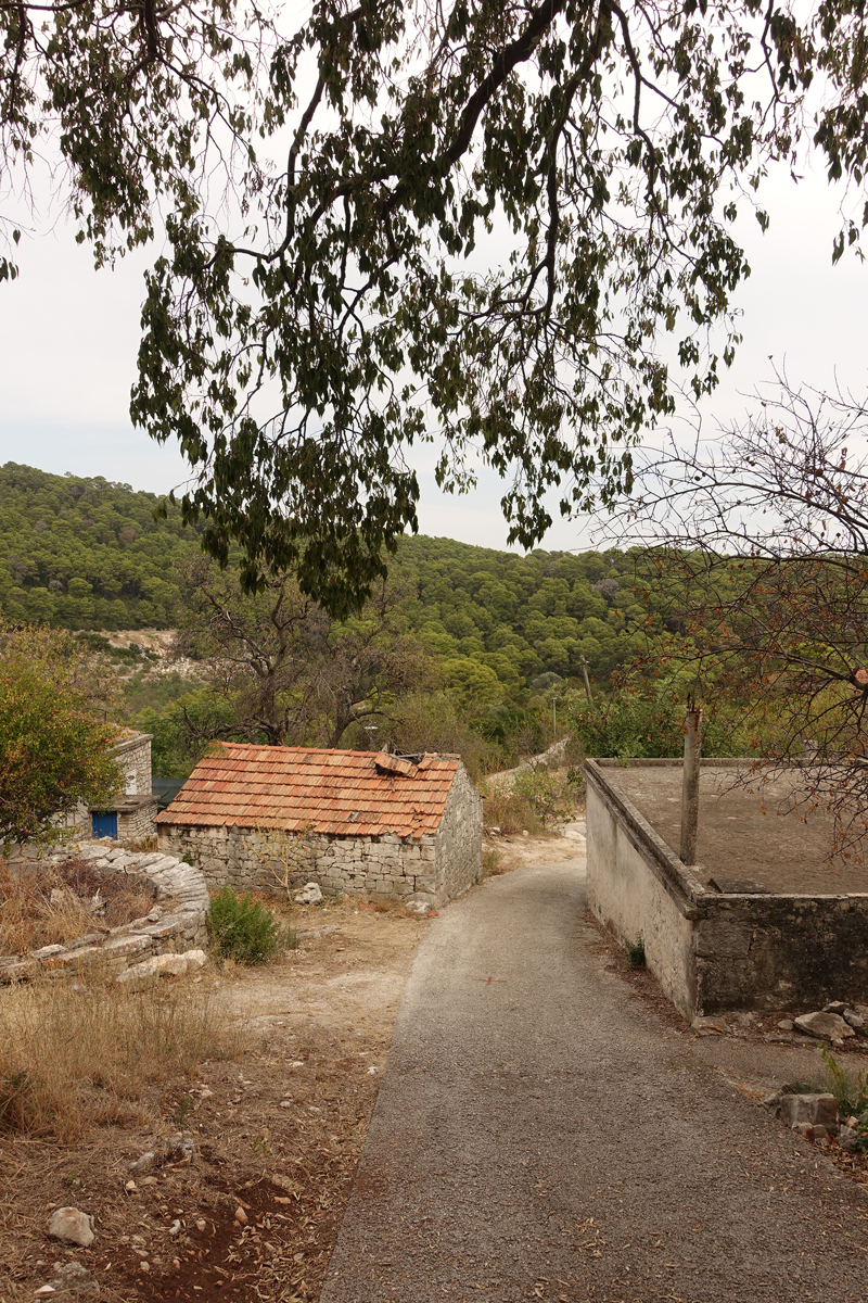 Mon voyage à Govedari sur l’île de Mljet en Croatie