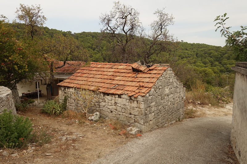 Mon voyage à Govedari sur l’île de Mljet en Croatie