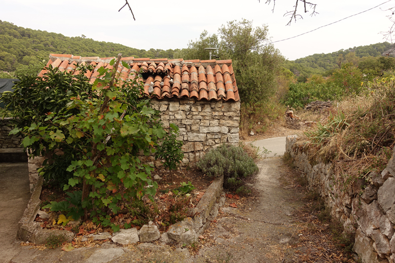 Mon voyage à Govedari sur l’île de Mljet en Croatie