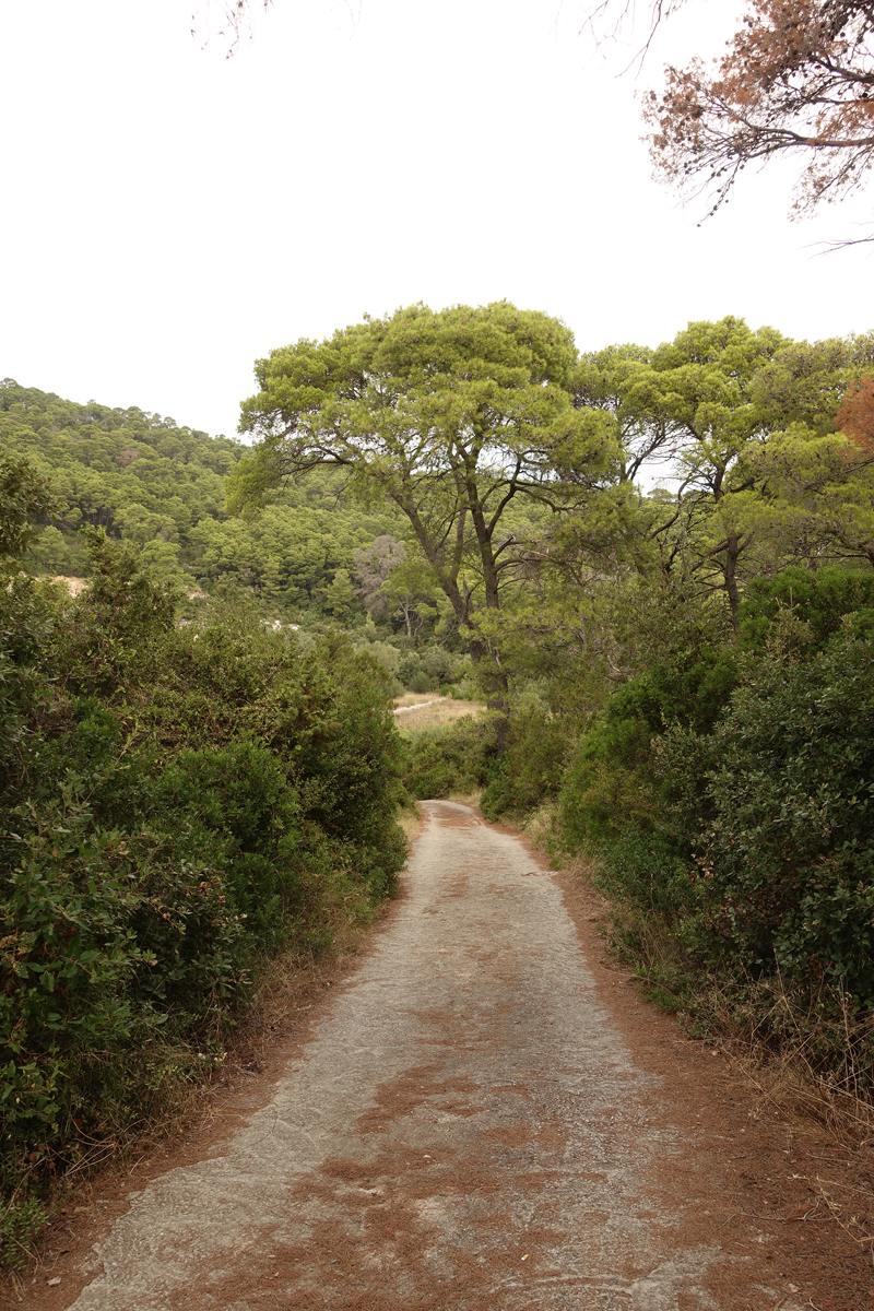 Mon voyage à Govedari sur l’île de Mljet en Croatie