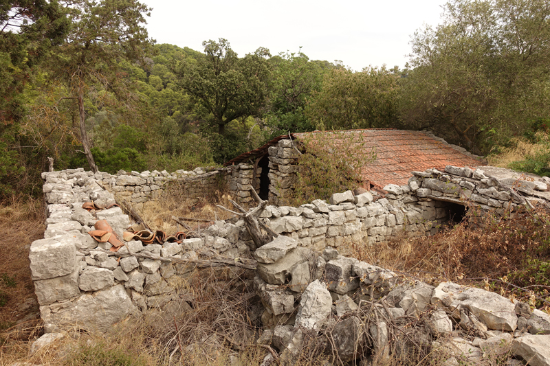 Mon voyage à Govedari sur l’île de Mljet en Croatie