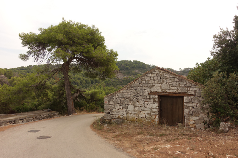 Mon voyage à Govedari sur l’île de Mljet en Croatie