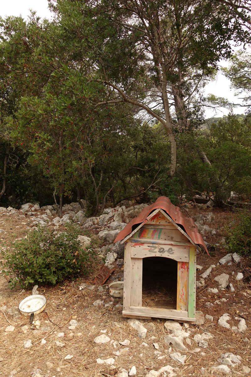 Mon voyage à Govedari sur l’île de Mljet en Croatie