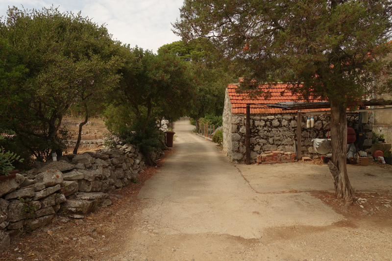 Mon voyage à Govedari sur l’île de Mljet en Croatie