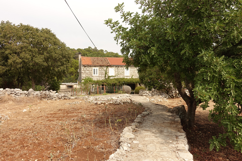 Mon voyage à Govedari sur l’île de Mljet en Croatie