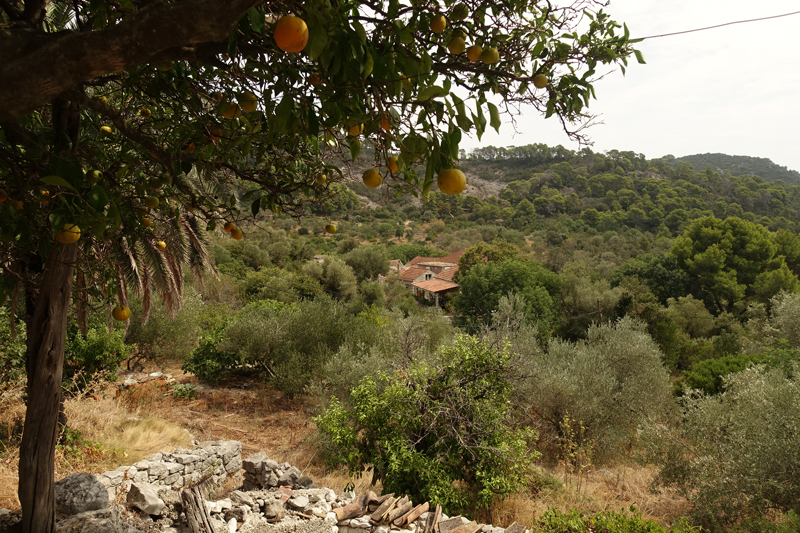 Mon voyage à Govedari sur l’île de Mljet en Croatie