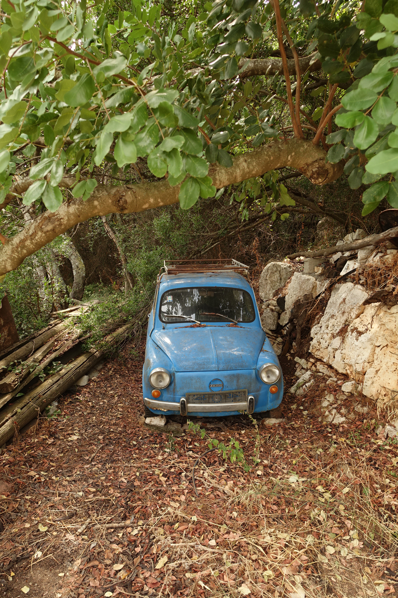 Mon voyage à Govedari sur l’île de Mljet en Croatie