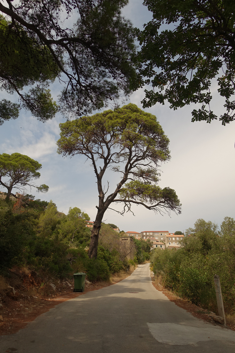 Mon voyage à Govedari sur l’île de Mljet en Croatie