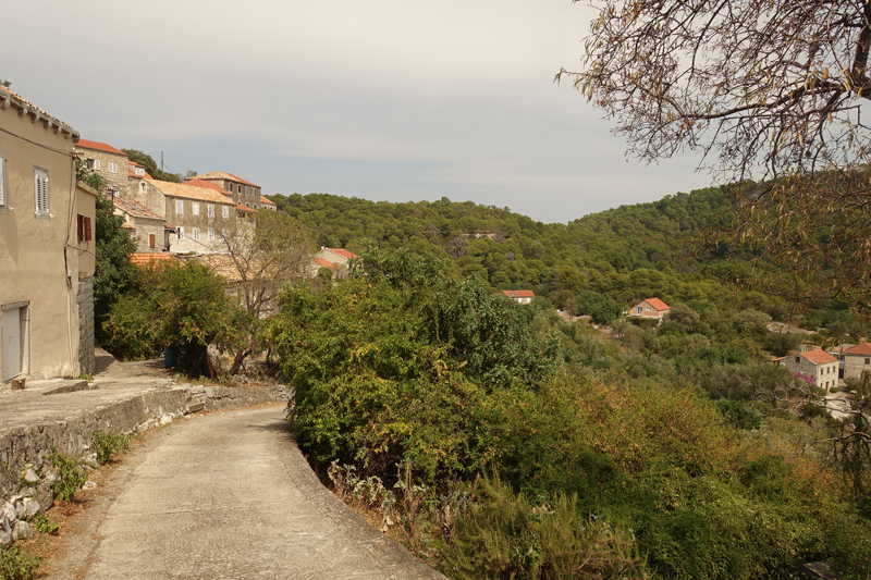 Mon voyage à Govedari sur l’île de Mljet en Croatie