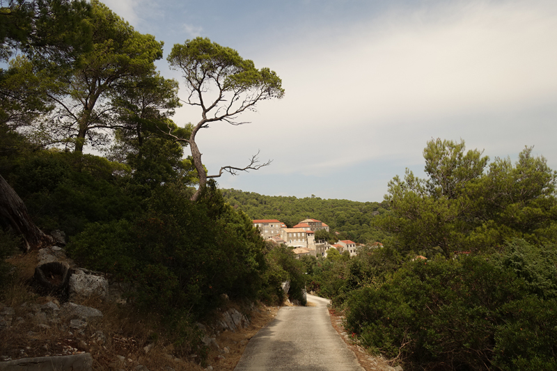 Mon voyage à Govedari sur l’île de Mljet en Croatie