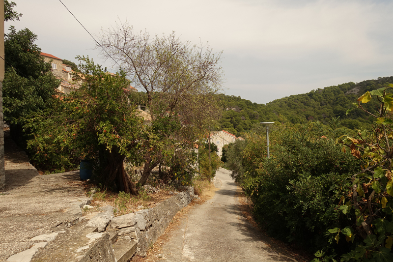 Mon voyage à Govedari sur l’île de Mljet en Croatie