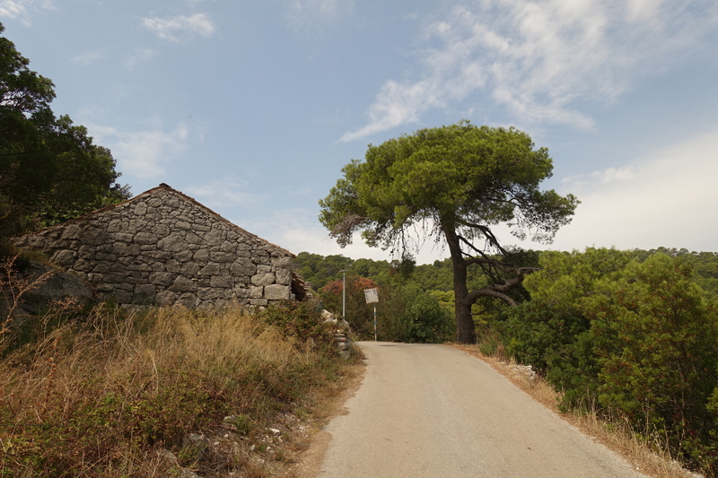 Mon voyage à Govedari sur l’île de Mljet en Croatie