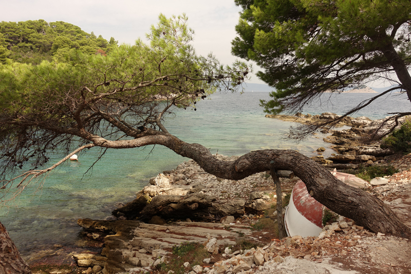 Mon voyage à Pomena sur l’île de Mljet en Croatie