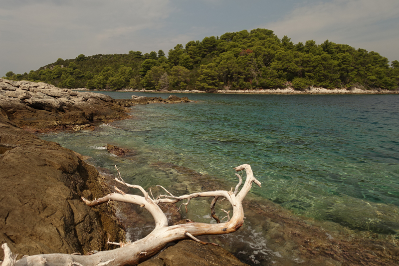 Mon voyage à Pomena sur l’île de Mljet en Croatie