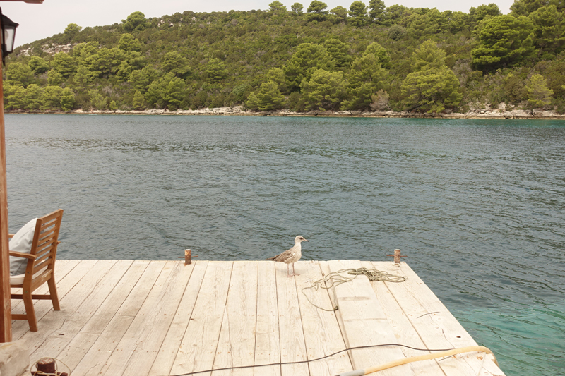 Mon voyage à Pomena sur l’île de Mljet en Croatie